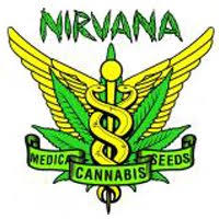 Nirvana seeds