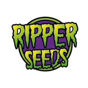 Ripper Haze 1 Fem. Ripper Seeds