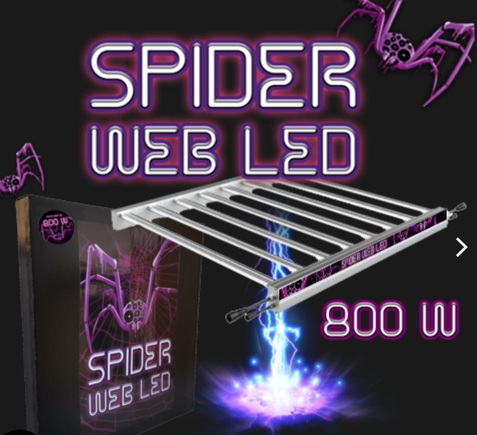 Screenshot_20221022-100817_Samsung Internet