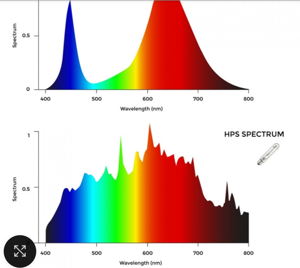 Screenshot_20221022-101010_Samsung Internet